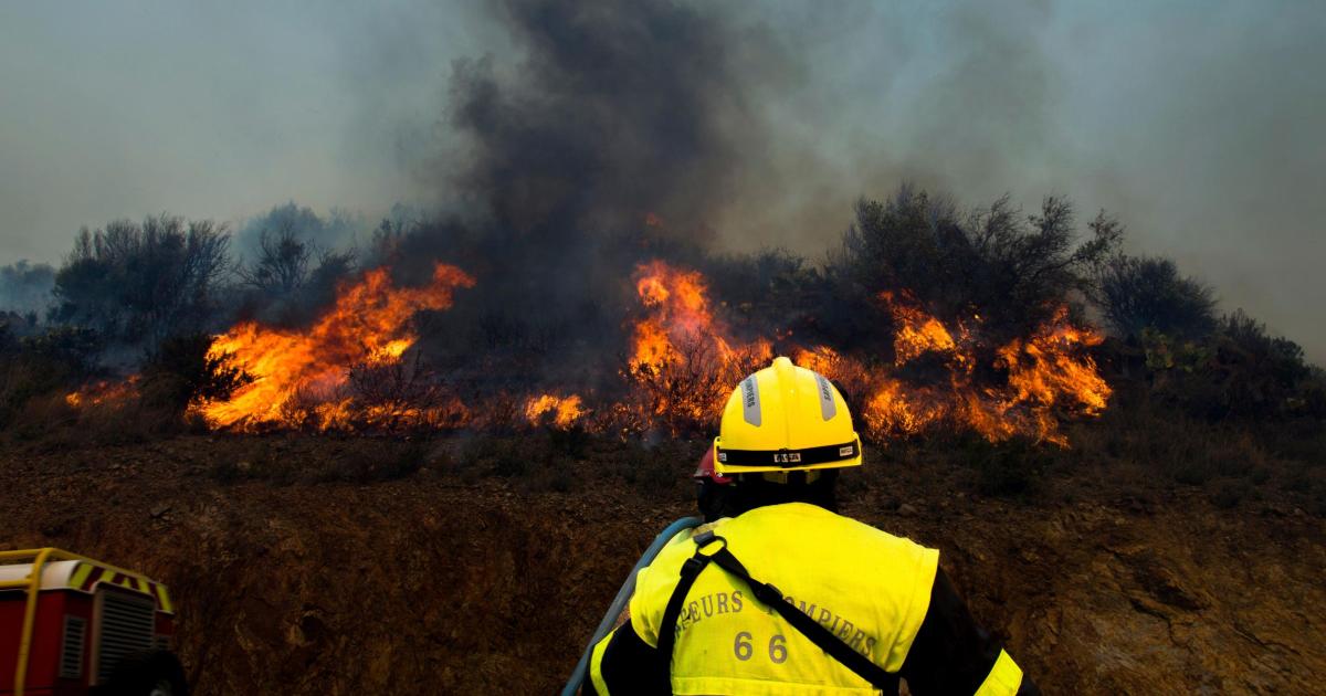 Firefighters tackle France’s first major forest blaze of 2023