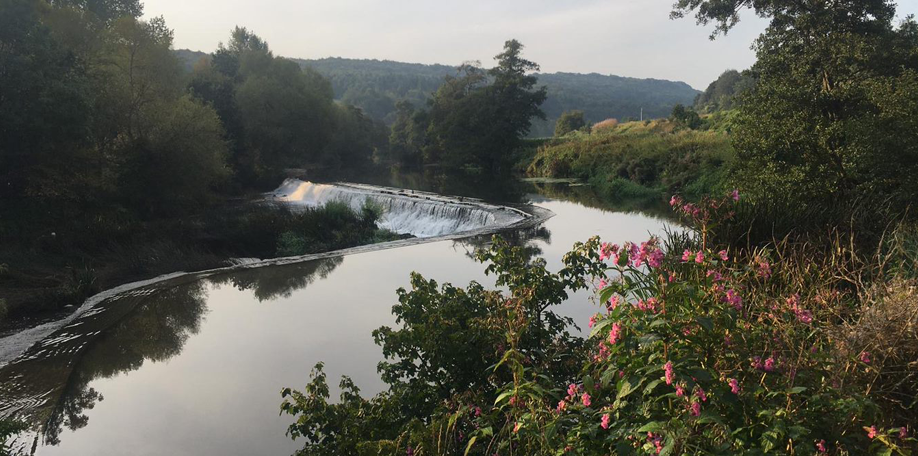 Wessex Water introduces new schemes to protect regional rivers - Vimarsana News