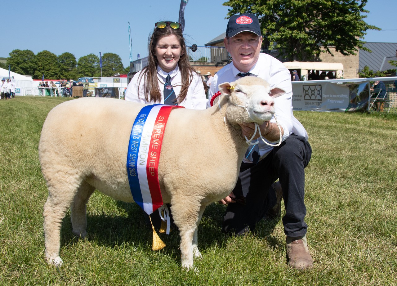 Royal Bath & West Show awards supreme awards to livestock - Vimarsana News