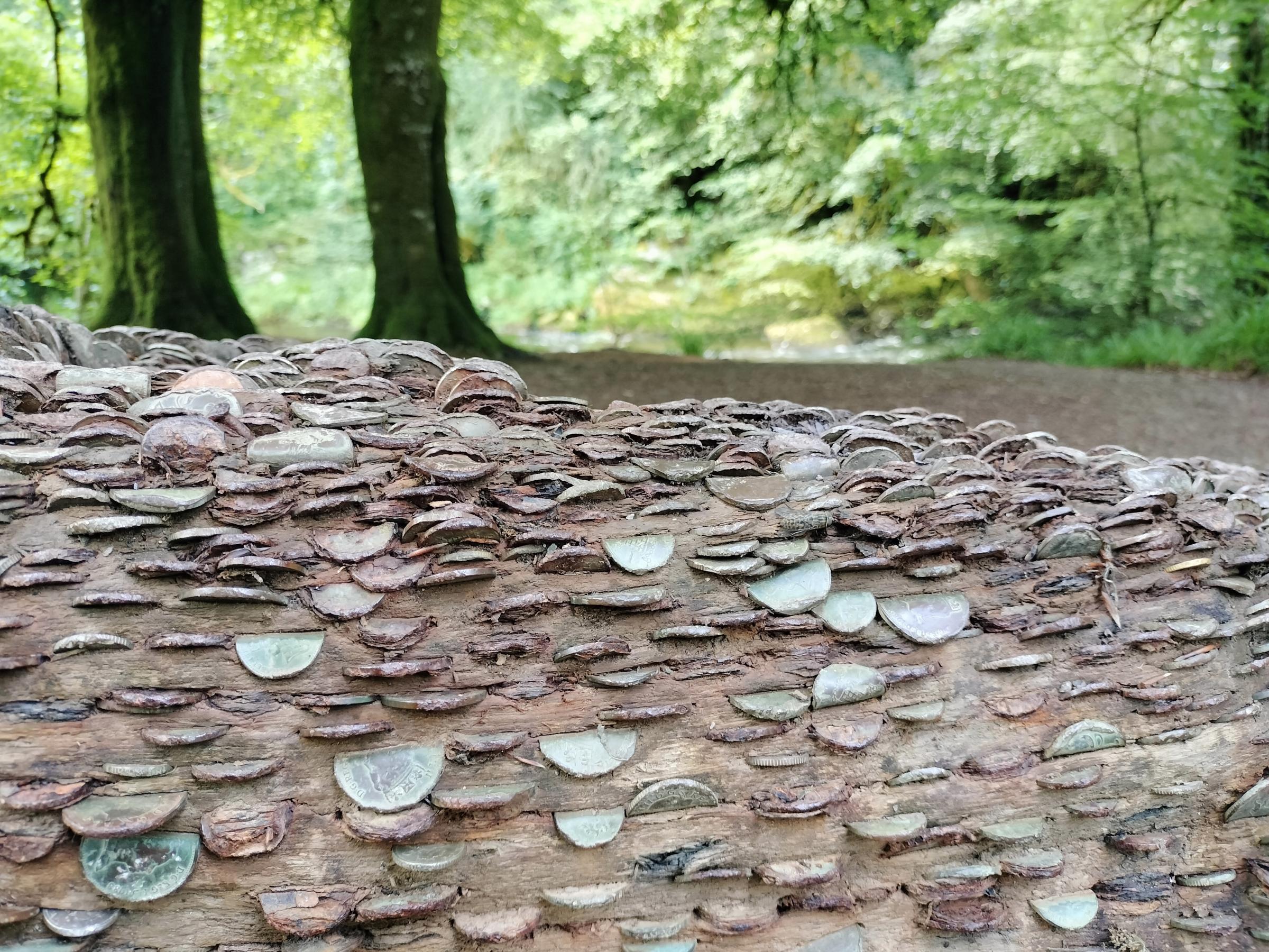 Somerset walk: Tarr Steps and the River Barle in Exmoor | Somerset County Gazette - Vimarsana News