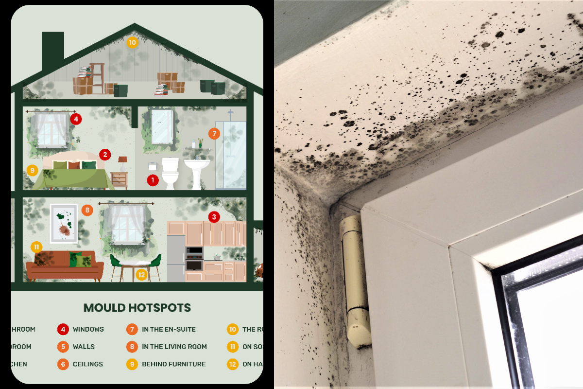 Homebase release heatmap for common places to find mould | Somerset County Gazette - Vimarsana News