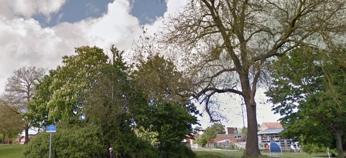Boy, 12, assaulted in Lyngford Park and Grange Drive | Somerset County Gazette - Vimarsana News