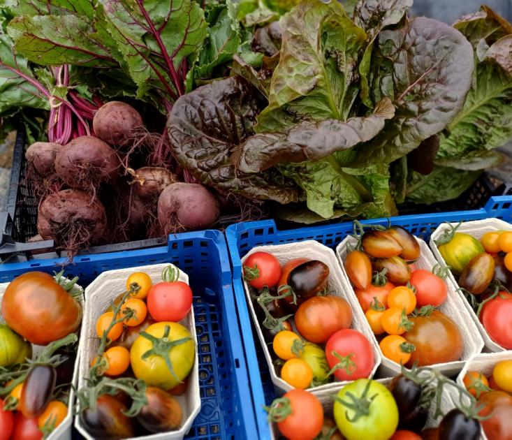 Off-Grid Organics: vegetable box scheme in South Somerset 