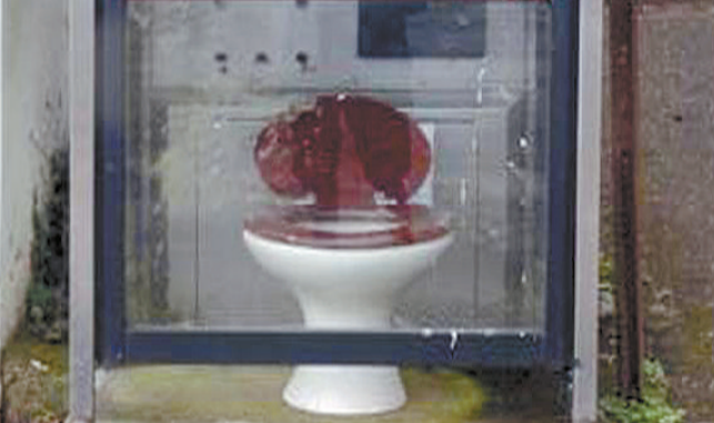 Toilet left in phone kiosk in Houndsmoor, Milverton | Somerset County Gazette - Vimarsana News
