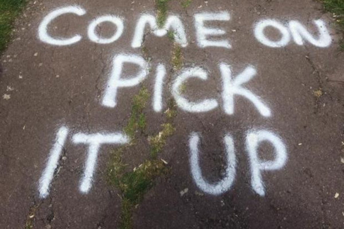 Looking back to when Minehead's dog poo vigilante was told to stop - Vimarsana News