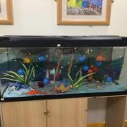 FISH-TASTIC: The aquarium on display at the Wellington care home
