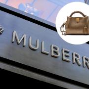 ARM CANDY: Will you snap up a bargain Mulberry handbag this Black Friday? Picture: PA