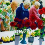 BLOOM: A pic from a previous edition of the Wiveliscombe Flower Show
