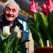 Dougie Marshall at Wellington Spring Flower Show, which was held at Wellington Prep School on Saturday. Picture: Steve Richardson