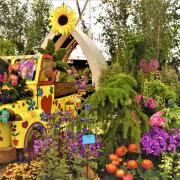 Taunton Flower Show will return to Vivary Park on August 5 and 6. Picture: Michael Eardley, Somerset Camera Club
