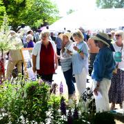 Visitors at Taunton Flower Show in 2022.