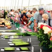 Inside the competition marquee at last year's Taunton Flower Show.