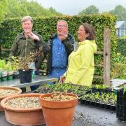 Nigel John, horticulture course leader at BTC and Sarah Mead, head gardener at Yeo Valley Organic Garden, enjoy some much-needed rain. Picture: Yeo Valley Organic

Picture: Yeo Valley Organic
