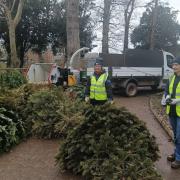 St Margaret's Hospice volunteers collect Christmas trees.