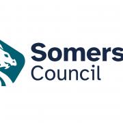 The new logo for Somerset Council, featuring a white dragon's head inside a teal five-sided shape.