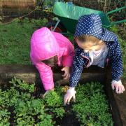 Children working in their school garden in Somerset. Image Credits: Somerset Gardens