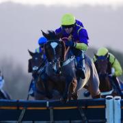Racing will return at Taunton Racecourse on Tuesday February 7. Pic: PPAUK.