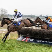 Tiverton Point to Point race is set to go ahead on February 4. Pic: Tiverton Point to Point.