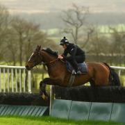 Jack Tudor schooling Keppage on the gallops at Pond House on Tuesday morning.