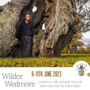Three day wildlife festival in Wedmore.