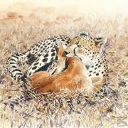 A watercolour painting of leopard feasting by Moish Sokal.