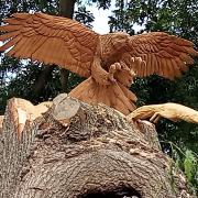 The eagle sculpture. Picture: Dunkirk Memorial House