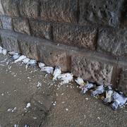 The dead pigeons lined up under the bridge. Picture: County Gazette
