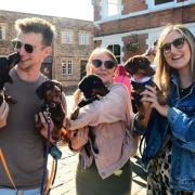 Three dog café events are coming to Taunton in the new year.