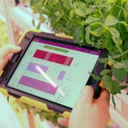 LettUs Grow is leading a project linking AI with farming.