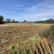 Somerset Council has approved the amended proposals for more than 200 homes in Frome.