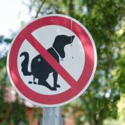 A Somerset town council is urging locals to pick up after their dogs.