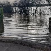 A photo taken today by Somerset Council