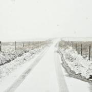 Exmoor looked like a fantasyland due to the snow.