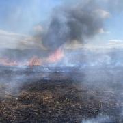 Taunton Fire Station shared these pictures of the crop fire on Saturday (April 20).