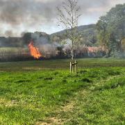 Pictures show the aftermath of a nine-acre crop fire in Nailsbourne
