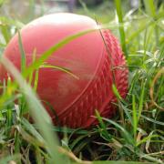Female players make waves in the Somerset Cricket League