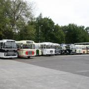 There will be a range of vintage buses