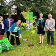 Mayor of Taunton, Cllr Vanessa Garside planted a tree with Nuffield Health Hospital staff