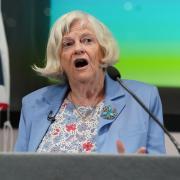 Ann Widdecombe, the former MP and MEP