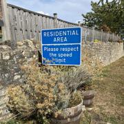 Images taken on August 27 show the current state of the flower sites
