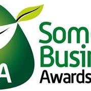Somerset Business Awards 2015 finalists are revealed