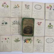 BOTANY: A collection of fifty-two cards explaining about botany, which sold for £500