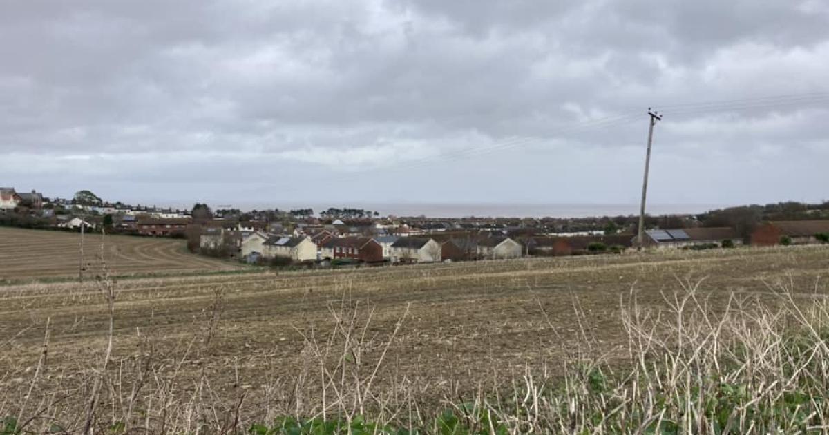 Report into planned Parsonage Farm development in Watchet | Somerset County Gazette - Vimarsana News