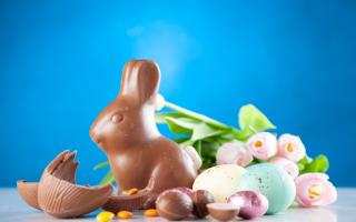 Sweet-toothed vegans need not worry this Easter - here are 8 of the best chocolate eggs to buy (Canva)