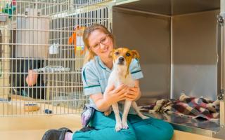 Wellington veterinary centre honoured with prestigious award