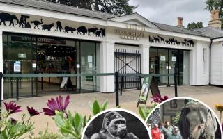 Bristol Zoo Gardens in Clifton is to shut after 186 years. Picture: PA