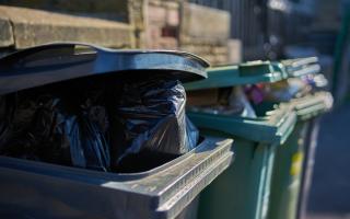 Here are the steps you should take if a neighbour's bin is bothering you.