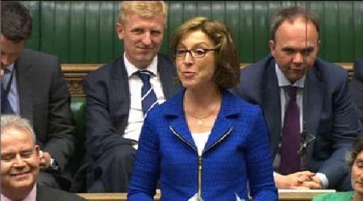 Archive photo: Rebecca Pow during a House of Commons intervention.