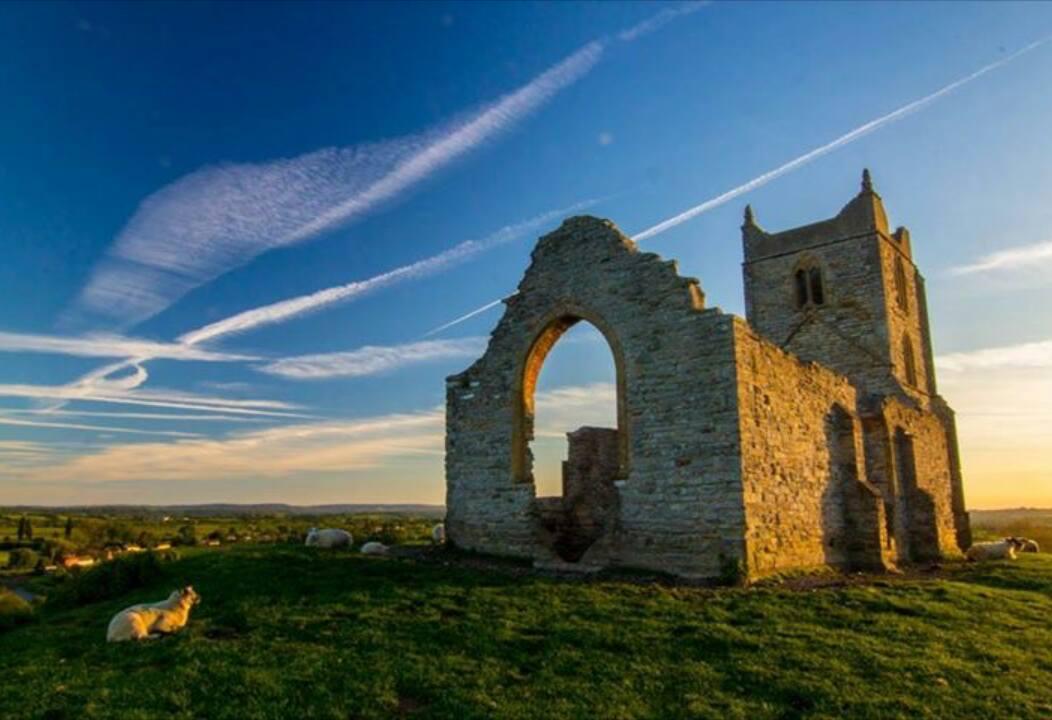 ROOM WITH A VIEW: A sheep enjoying the views from Burrow Mump. PICTURE: Steve Osborne. PUBLISHED: March 16, 2017