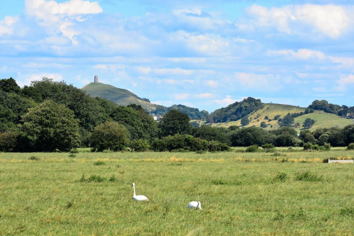 Glastonbury Tor and Wearyall Hill from Sharpham Moor, by Andy Linthorne
